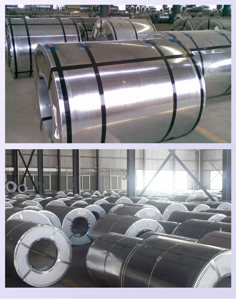 镀锌卷 镀锌卷