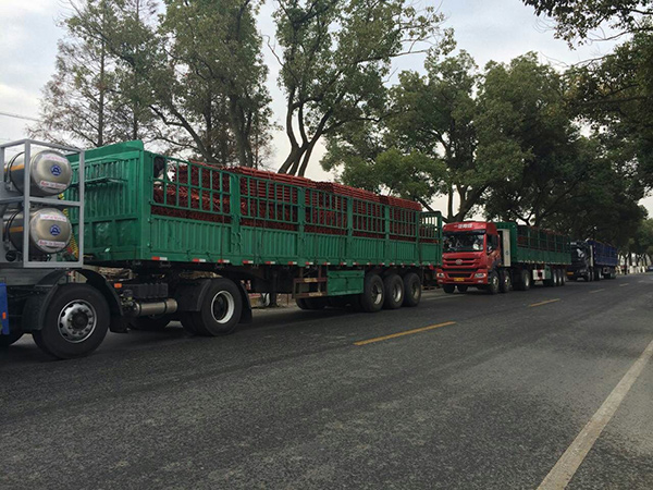 国产麻豆放荡AV剧情演绎