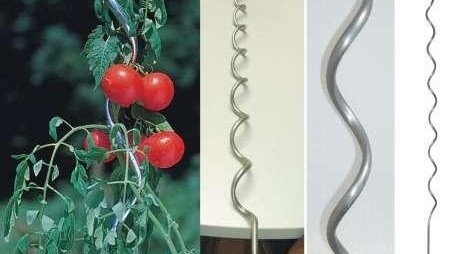 【河北】番茄爬藤支架的使用方法您知道吗？
