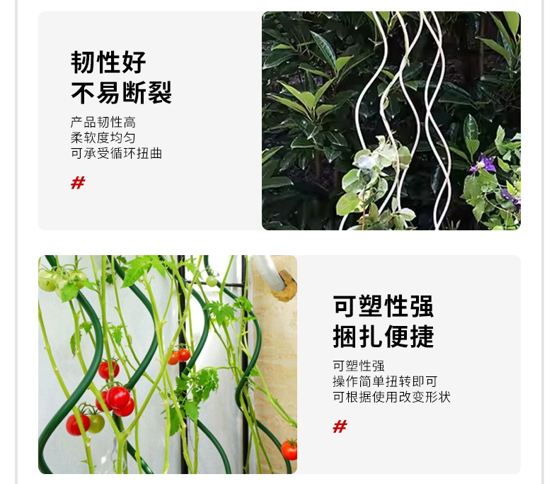 番茄支架详情_08