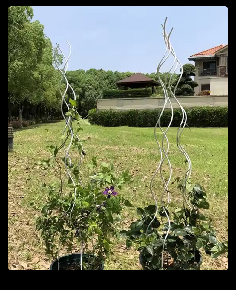 番茄支架详情_10