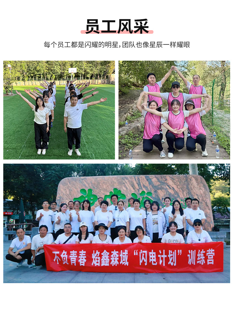 番茄支架详情_18