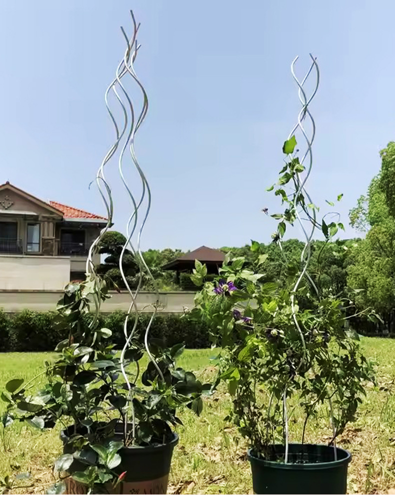 番茄支架详情_03